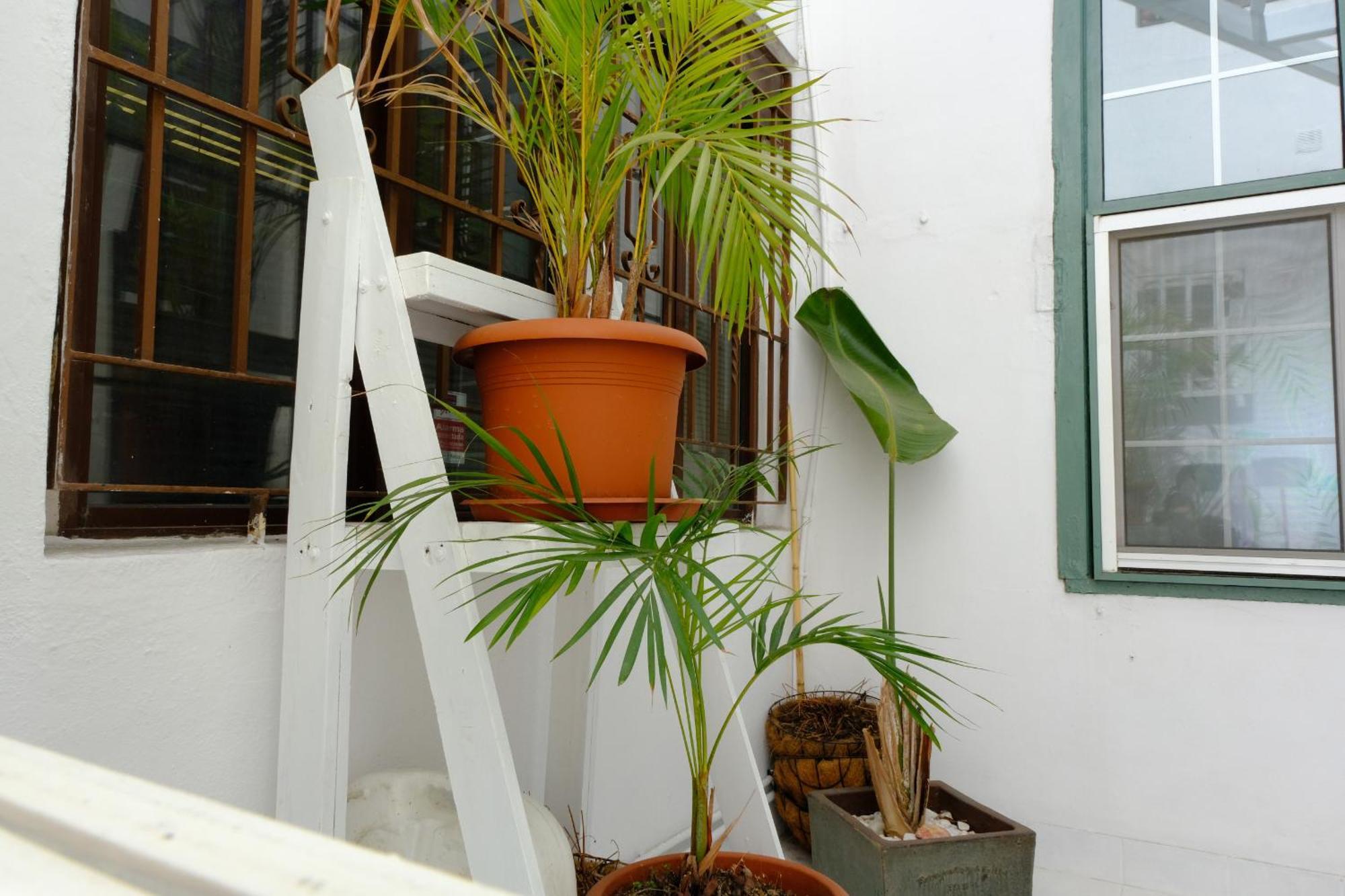 Rooftop Dreamhouse - 3Br With Seaviews Santa Cruz de la Palma  Luaran gambar