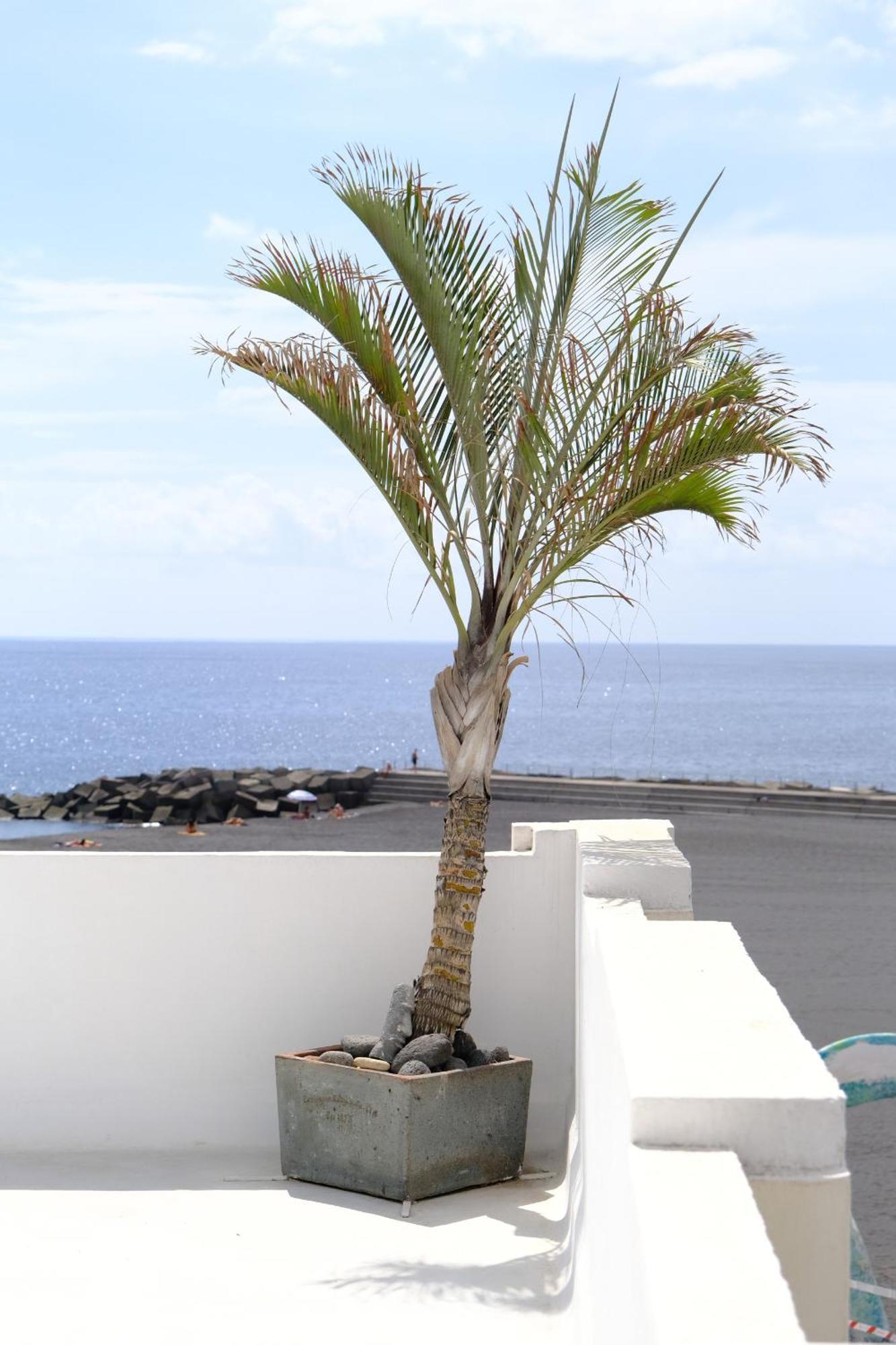 Rooftop Dreamhouse - 3Br With Seaviews Santa Cruz de la Palma  Luaran gambar